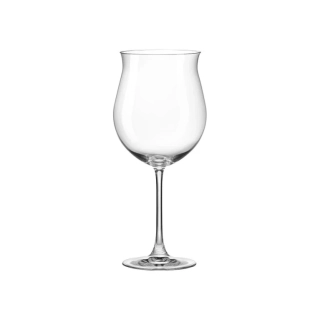 RONA Sklenice na víno MAGNUM 660ml/2ks *